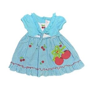 Youngland Toddler Girls’ Dress – 2T – Blue Gingham Cherry Embroidery – EUC